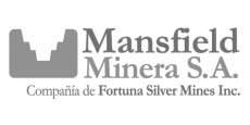 Mansfield Minera S.A.